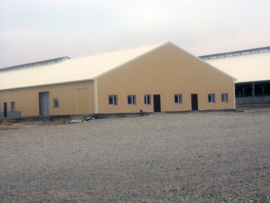 ОАО «Самаринское», Белгородская область-5